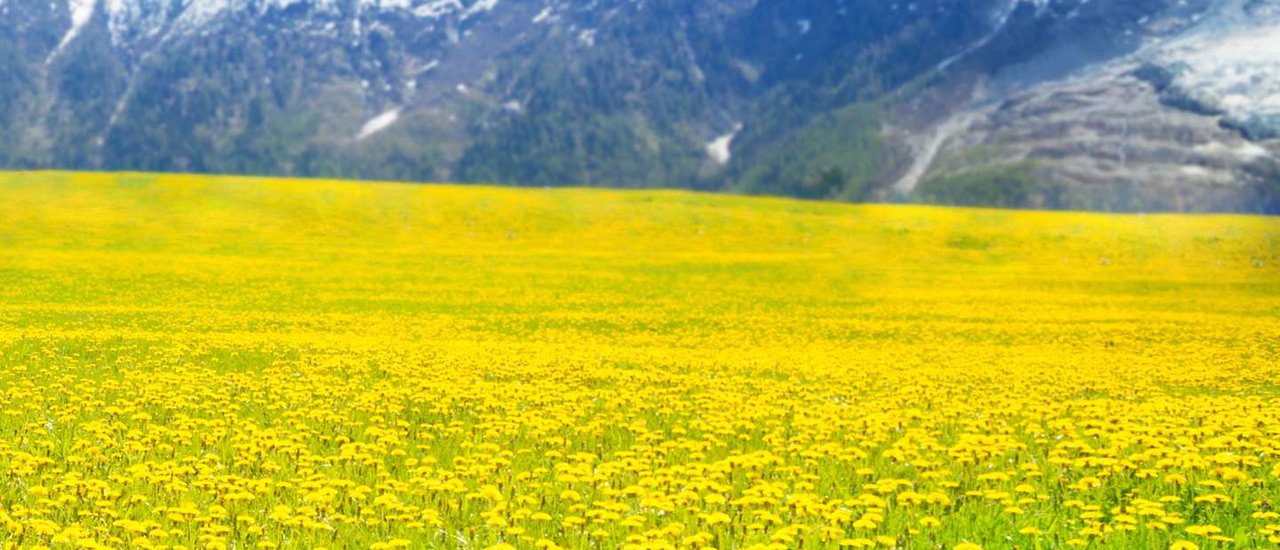 cover รีวิว การยื่นวีซ่า สวิตเซอร์แลนด์ และการเตรียมเอกสาร Oct (ตุลา) 2019