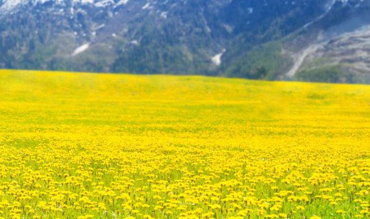 cover รีวิว การยื่นวีซ่า สวิตเซอร์แลนด์ และการเตรียมเอกสาร Oct (ตุลา) 2019