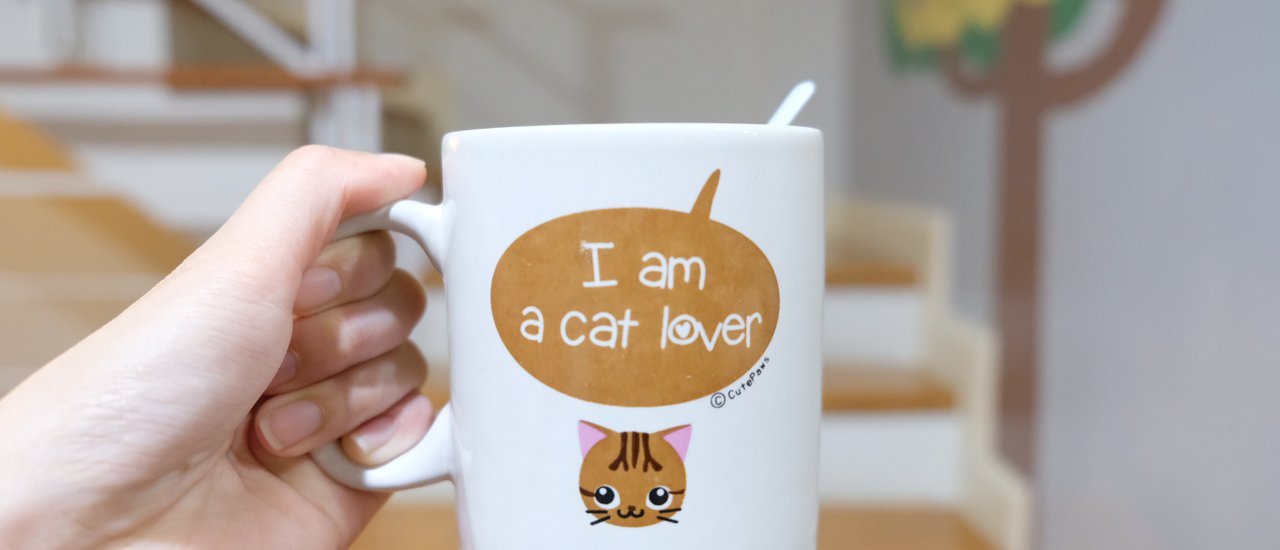 cover Cat Lovers don't miss! Cool trip in Bangkok