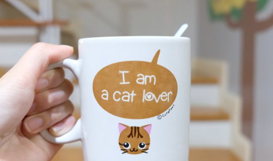 cover Cat Lovers don't miss! Cool trip in Bangkok