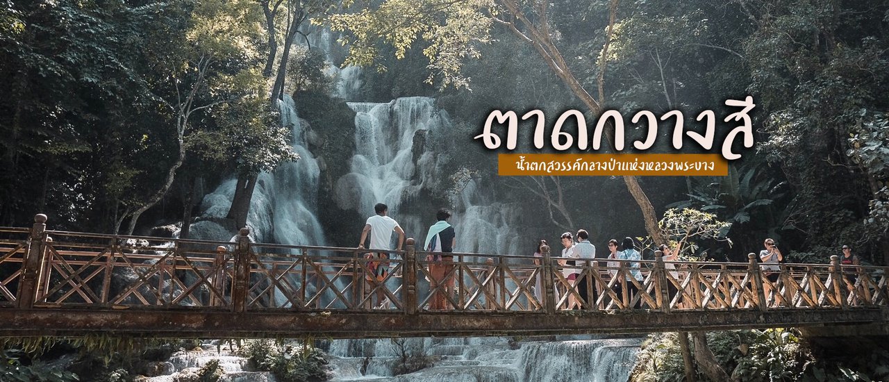 cover ตาดกวางสี หลวงพระบาง x CUTTO Medical Cotton Swab