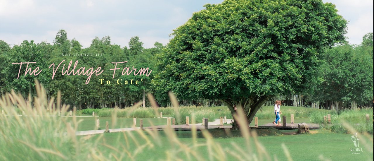 cover คาเฟ่ฟาร์มน่ารักๆ ที่กาญจนบุรี ลุยกินเมล่อนสดๆจากไร่ The Village Farm To Cafe'