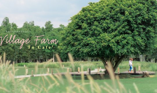 cover คาเฟ่ฟาร์มน่ารักๆ ที่กาญจนบุรี ลุยกินเมล่อนสดๆจากไร่ The Village Farm To Cafe'