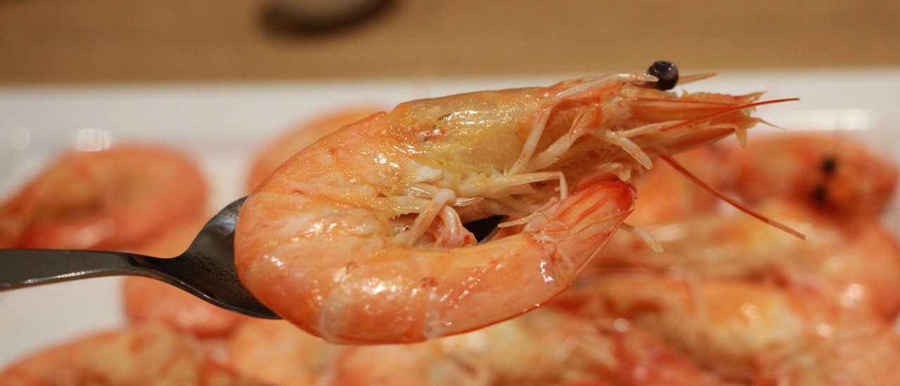 cover Oh ! Talay - โอ้ ! ทะเล เฟรซซีฟู๊ด กินละมันก็ร้องโอ้จิม ๆ นะ