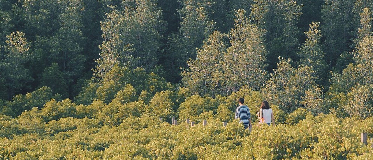 cover ปล่อยไปตาม ...ประแส