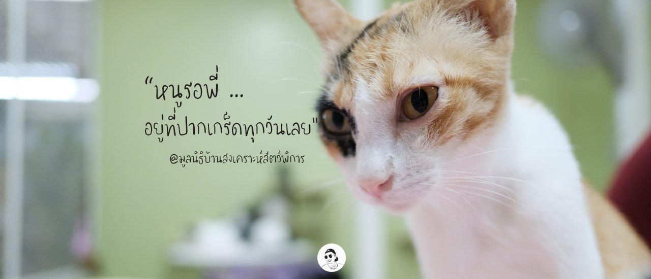 cover "ปันรัก ปันสุข" เที่ยวมูลนิธิบ้านสงเคราะห์สัตว์พิการ ปากเกร็ด