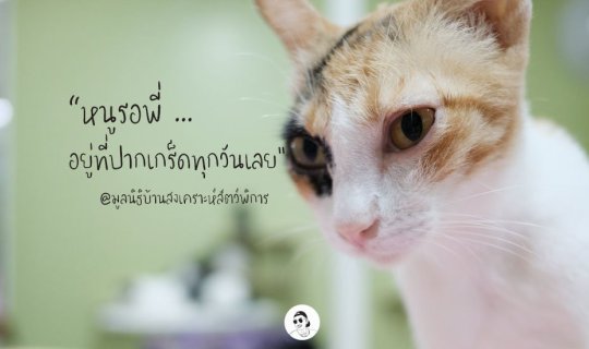 cover "ปันรัก ปันสุข" เที่ยวมูลนิธิบ้านสงเคราะห์สัตว์พิการ ปากเกร็ด