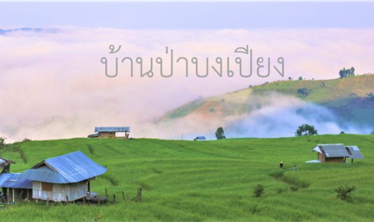 Cover “บ้านป่าบงเปียง” ☘️🌾...