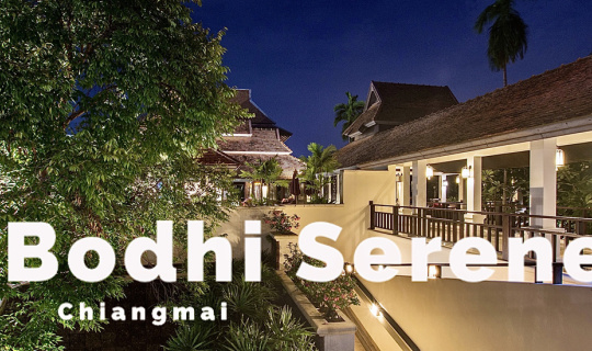cover Bodhi Serene Chiangmai มุมสงบของการพักผ่อน กลางตัวเมืองเชียงใหม่
