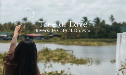 Cover Tree of Love Riverside Cafe at Donwai คาเฟ่สุดชิลริมแม่น้ำท่าจีน...