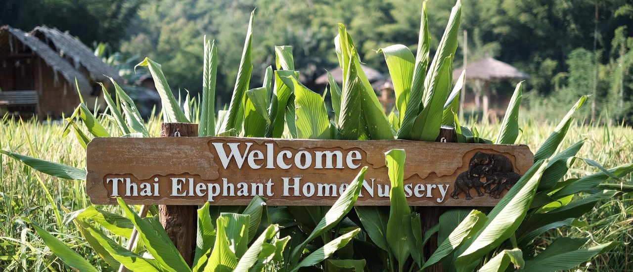 cover ตะลุยเดี่ยวเที่ยวแม่แตง-ม่อนแจ่ม ทริปวันเกิด