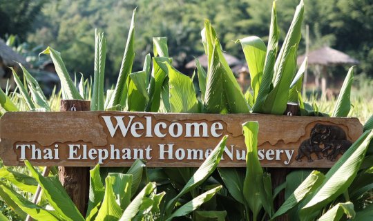 Cover ตะลุยเดี่ยวเที่ยวแม่แตง-ม่อนแจ่ม ทริปวันเกิด...