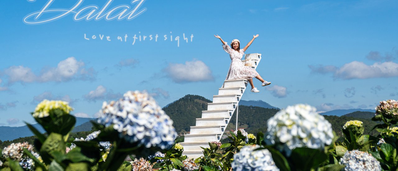 cover เที่ยว Dalat & Muine งบหลักพัน ความอลังหลักล้าน!!