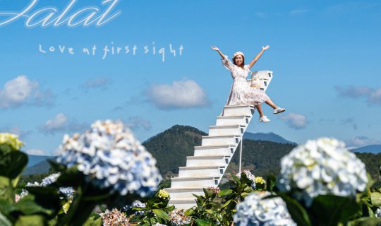 Cover เที่ยว Dalat & Muine งบหลักพัน ความอลังหลักล้าน!!...