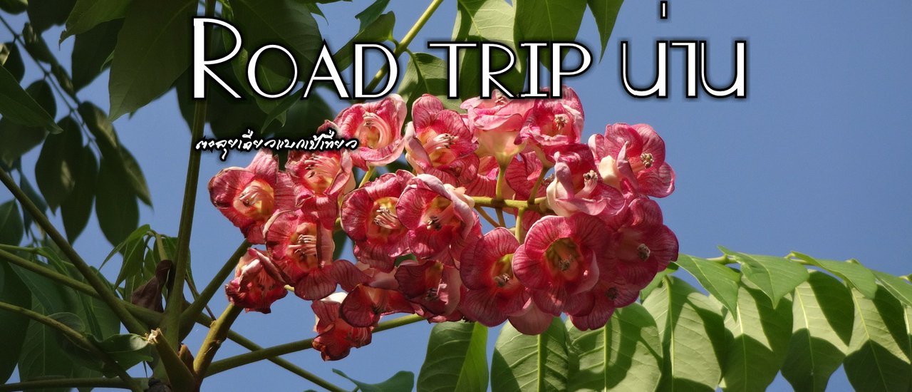 cover Road trip น่าน
