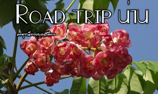 cover Road trip น่าน