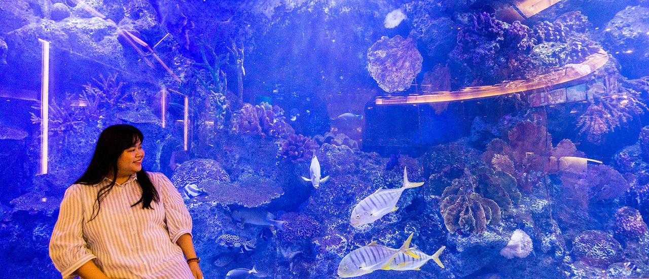 cover Copper Aquarium Restaurant บุฟเฟ่ต์ในบรรยากาศ Aquarium 🐠 🐟 🐡