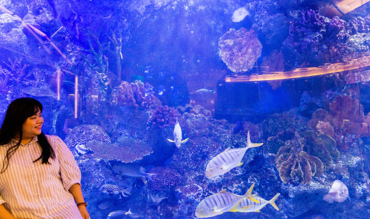 cover Copper Aquarium Restaurant บุฟเฟ่ต์ในบรรยากาศ Aquarium 🐠 🐟 🐡