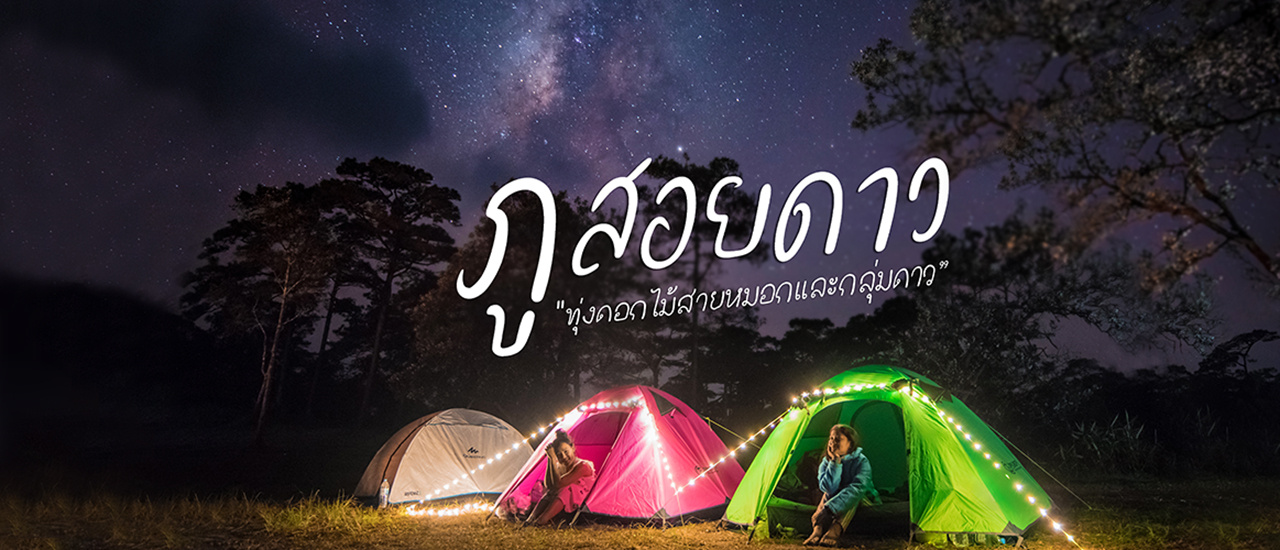 cover ภูสอยดาว “ทุ่งดอกไม้สายหมอกและกลุ่มดาว”