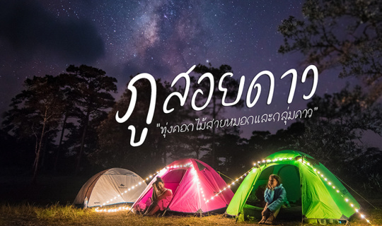 Cover ภูสอยดาว “ทุ่งดอกไม้สายหมอกและกลุ่มดาว”...