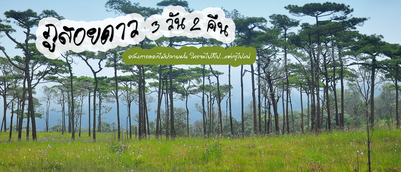 cover ภูสอยดาว..อลังการดอกไม้ปลายฝน ใครจะไปก็ไป..แต่กรูไปแน่