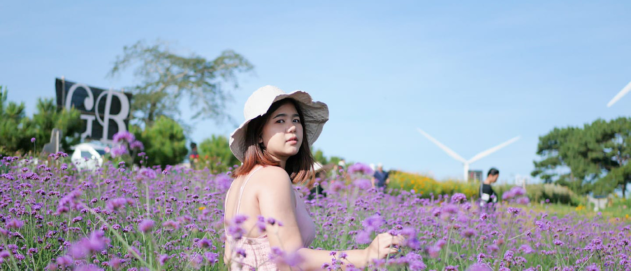 cover เขาค้อ ดีกว่าเขาไม่ง้อนะรู้ป่าว (ทริปปลายฝนต้นหนาว)