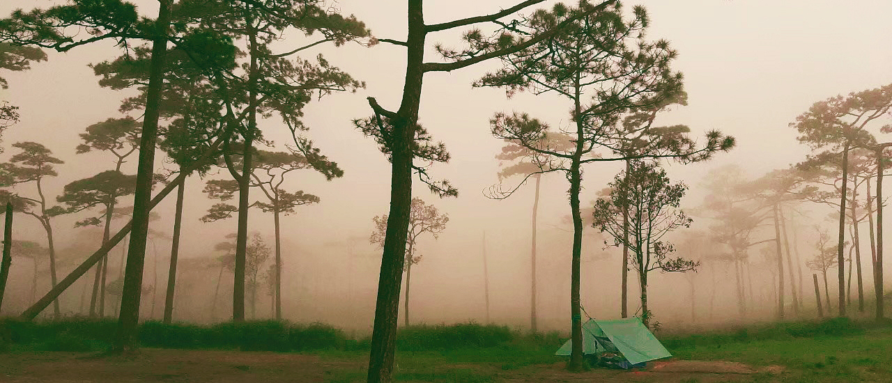 cover Pho Soi Dao ภูสอยดาวแบบห้าวๆ 3วัน2คืน งบไม่ถึง2,000(ไม่มีรถส่วนตัว)