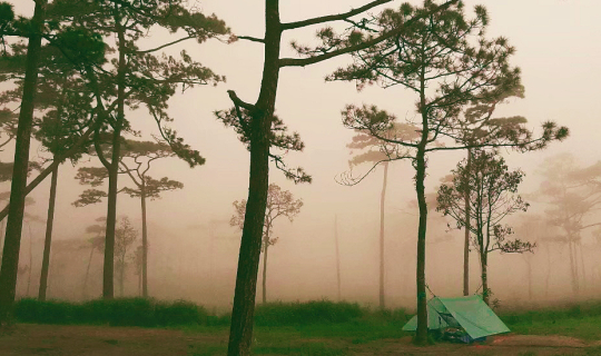 cover Pho Soi Dao ภูสอยดาวแบบห้าวๆ 3วัน2คืน งบไม่ถึง2,000(ไม่มีรถส่วนตัว)