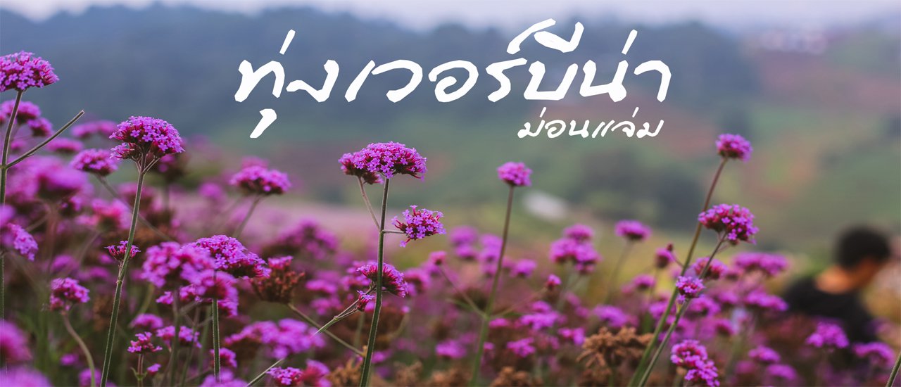 cover “Verbena Blooming” @ Mon Jaem