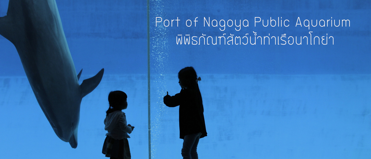 cover Port of Nagoya Public Aquarium พิพิธภัณฑ์สัตว์น้ำท่าเรือนาโกย่า