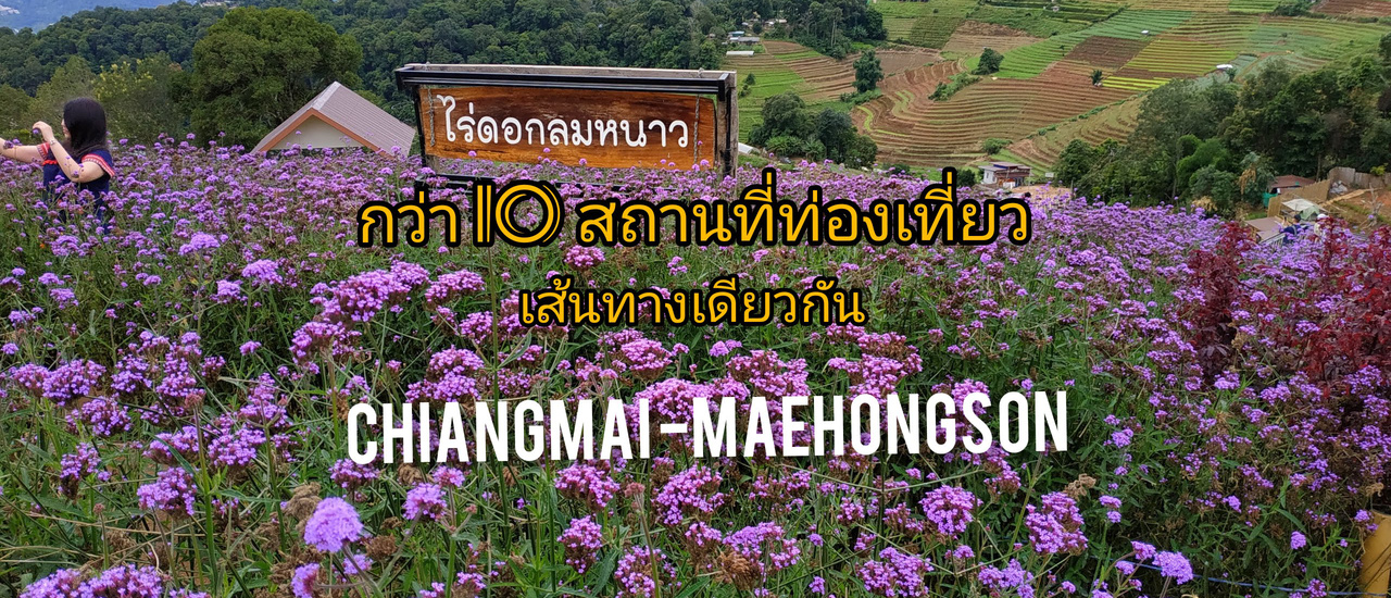 cover ฟินทุกที่ที่มีเขา ตั้งแต่ม่อนแจ่มถึงบ้านจ่าโบ่