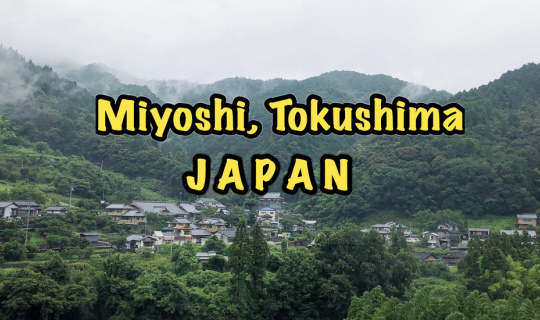 cover นอนกลาง (สายหมอก) หุบเขาที่ TOKUSHIMA