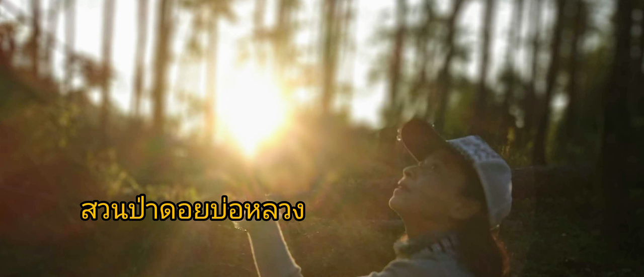 cover ฟินทุกที่ที่มีเขา ขุนยวม ทุ่งบัวตอง ป่าปงเปียง สวนป่าดอยบ่อหลวง