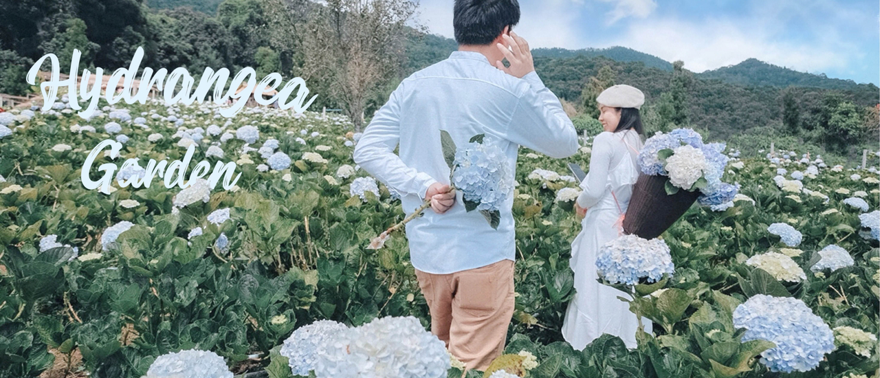 cover เตรียมชุดสวยให้พร้อม ไปถ่ายรูปท่ามกลางดอกไฮเดรนเยีย @ขุนแปะ จังหวัดเชียงใหม่กันเจ้า