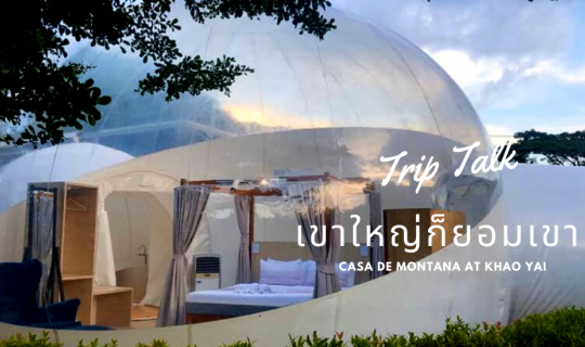 cover #6 เขาใหญ่ก็ยอมเขา