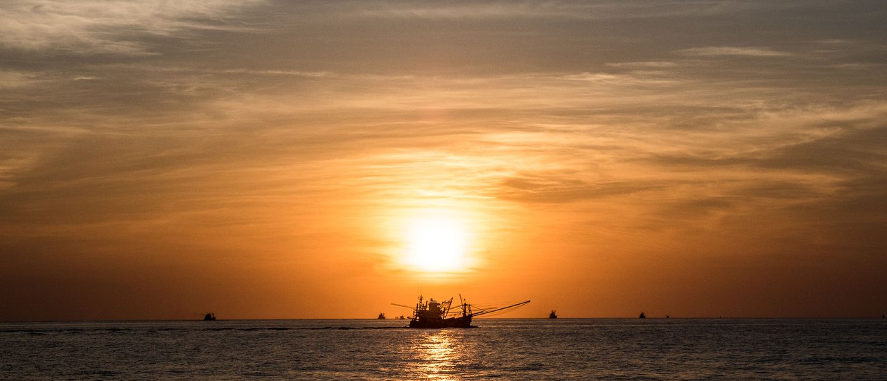 cover เด็กเลี้ยงหมีพาฟิน | Discover Catamaran X มีตั่งนั่งนอน @Phuket ใครที่ยังคิดอยู่ว่า “ร้อนนี้ไปไหนดี” ไปทะเลใต้กันเถอะ