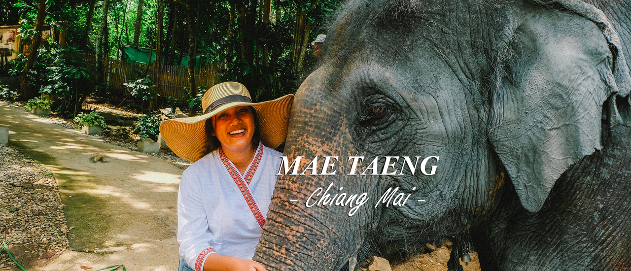 cover เชียงใหม่ไม่ซ้ำ ขี่ช้าง นั่งเกวียน ล่องแพไม้ไผ่ ที่ปางช้างแม่แตง ลากแฟนไปหากิจกรรมสานสัมพันธ์ความรักที่เชียงใหม่