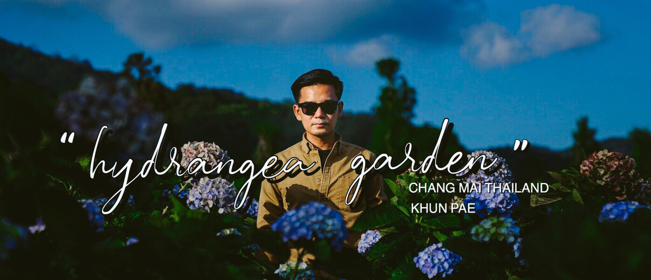 cover ❝ ไฮเดรนเยียร์จ๋า … พี่มาแล้วจ๊ะ ❞