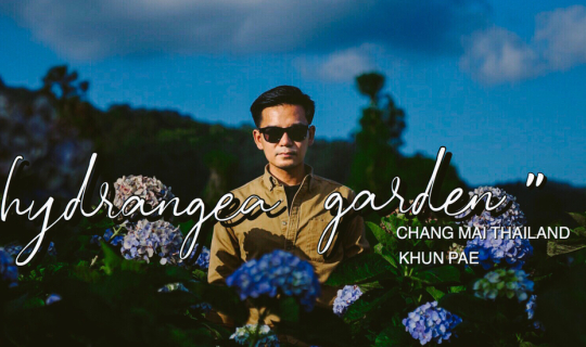 cover ❝ ไฮเดรนเยียร์จ๋า … พี่มาแล้วจ๊ะ ❞