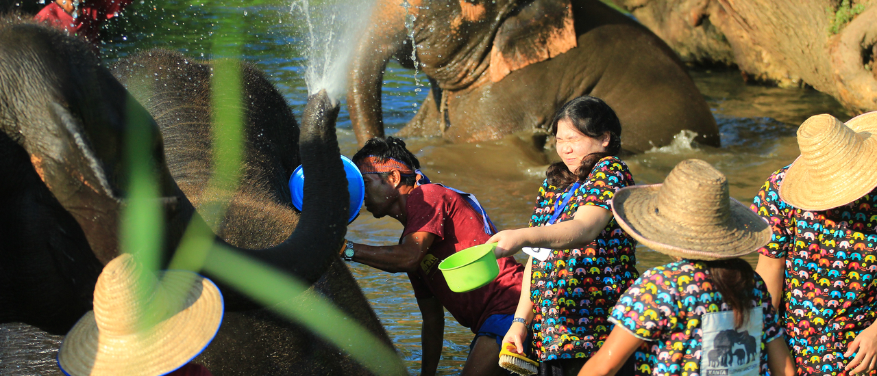 cover ทัวร์โดนช้างอาบน้ำ เอ๊ย!! มาอาบน้ำให้ช้างกันเถอะ!! @ ปางช้างกันตา Kanta Elephant Sanctuary เชียงใหม่