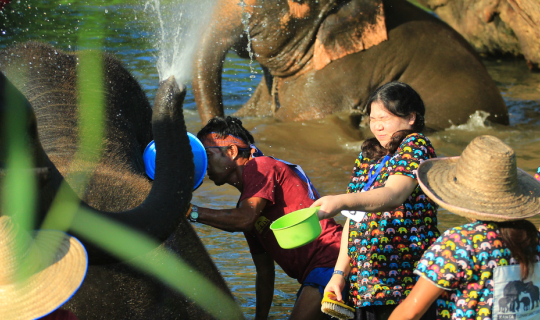 cover ทัวร์โดนช้างอาบน้ำ เอ๊ย!! มาอาบน้ำให้ช้างกันเถอะ!! @ ปางช้างกันตา Kanta Elephant Sanctuary เชียงใหม่