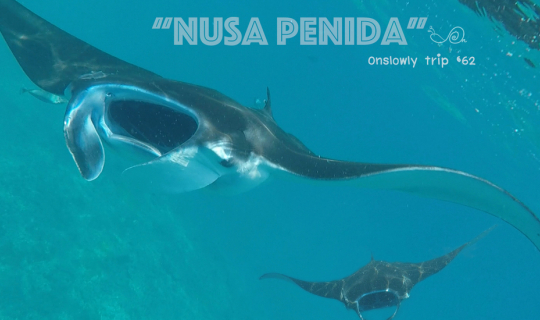 Cover ใครไม่ซ่า Nusa Penida :2วัน 1คืน กับการตามรอย IG เกาะทางตะวันออกเฉีย...