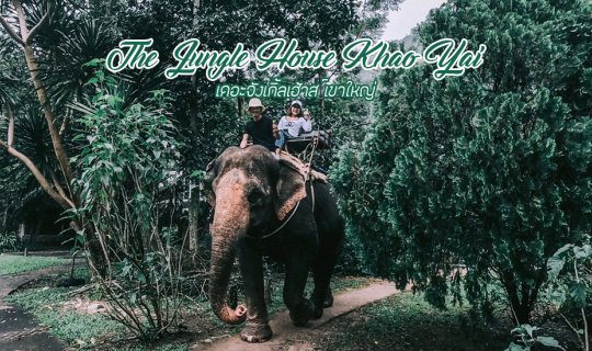 cover The Jungle House เขาใหญ่