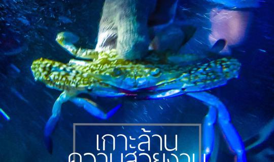 Cover เกาะล้านความสวยงามที่ถูกลืม ep.3...