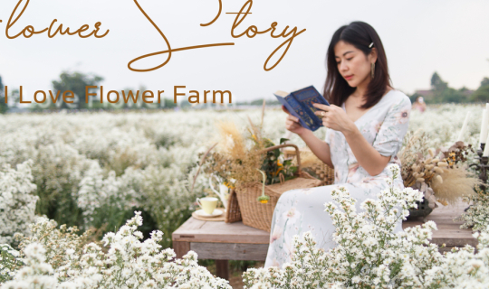 cover I Love Flower Farm สวนดอกไม้ที่ฮอตฮิตที่สุดในตอนนี้