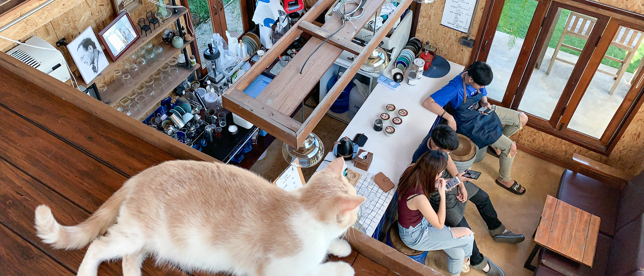 cover เที่ยว ‘ เชียงราย ’ ทัวร์คาเฟ่ พักโรงแรมคิ้วท์ๆ ฮิปไม่แพ้เชียงใหม่เลย!