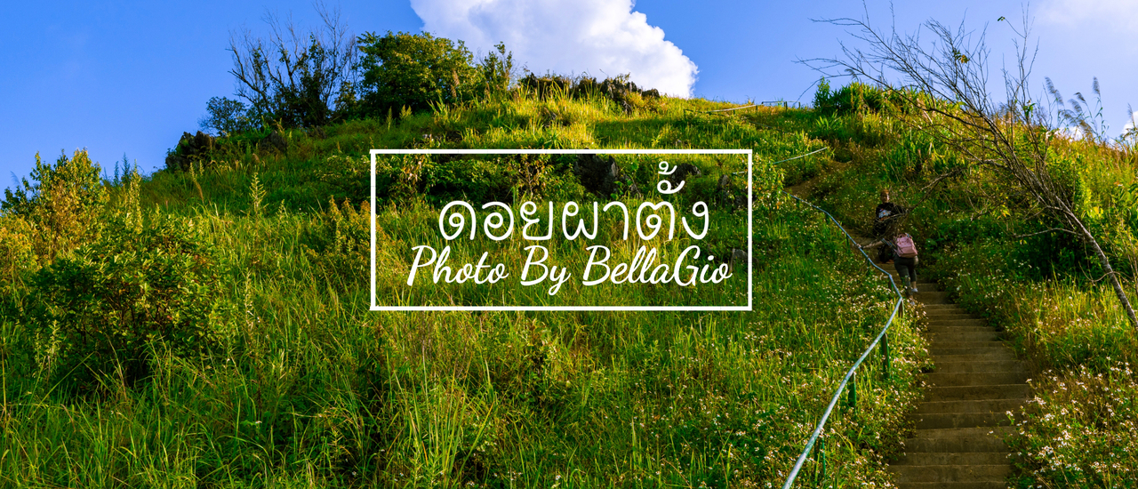 cover อากาศหนาวไปสัมผัสความเย็น แบบเมืองจีนที่ดอยผาตั้ง