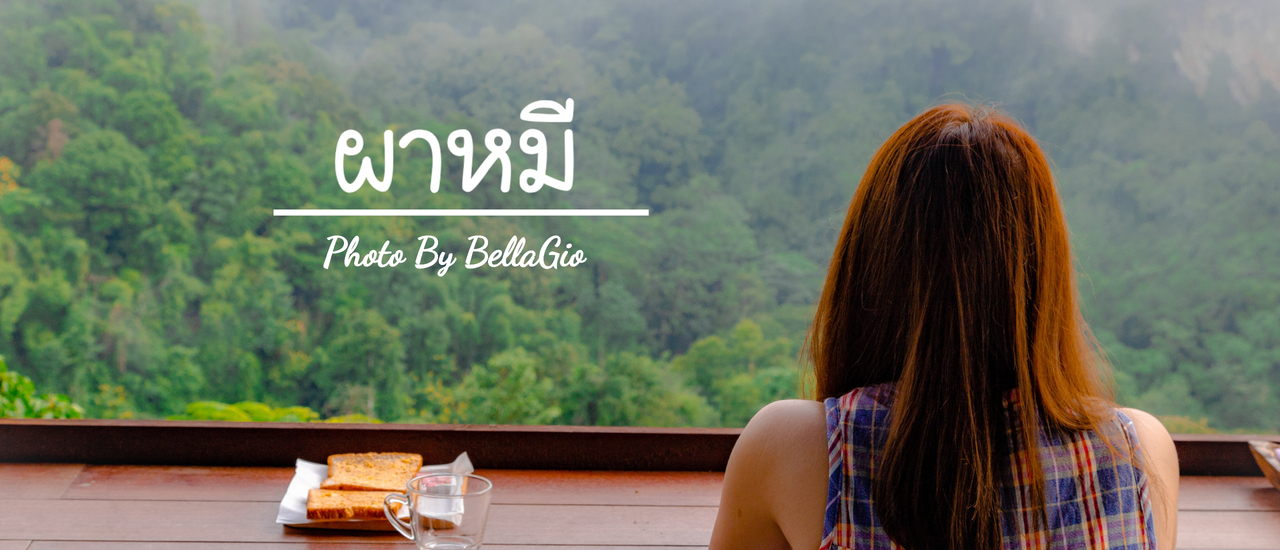 cover ดอยผาหมี ที่เที่ยวใหม่หลังขุนน้ำนางนอง