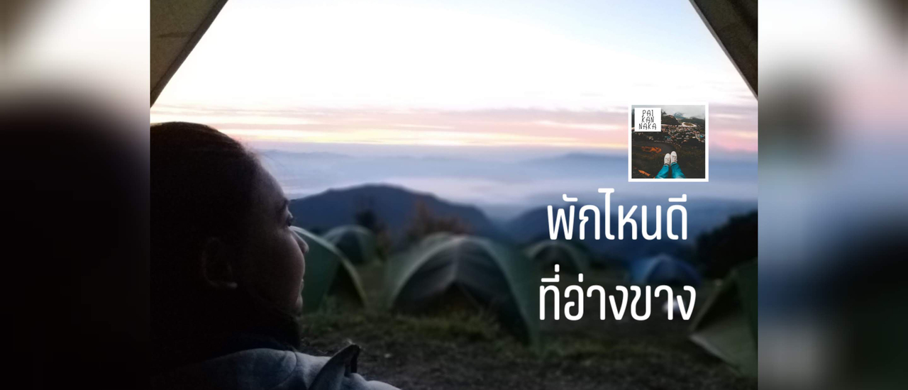 cover หนาวนี้ที่เชียงใหม่ ....ดอยอ่างขาง ไร่ชา2000 ม่อนสน ม่อนแจ่ม แจ่มทุกที่