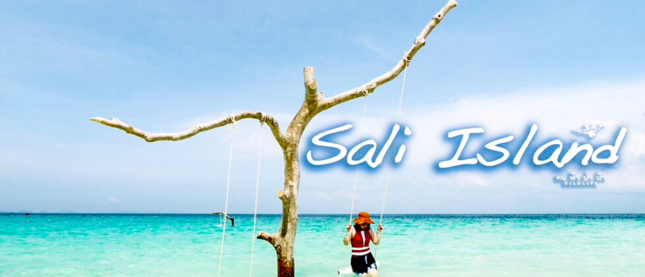 cover เกาะซาลิ สวรรค์แห่งใหม่กลางอันดามัน